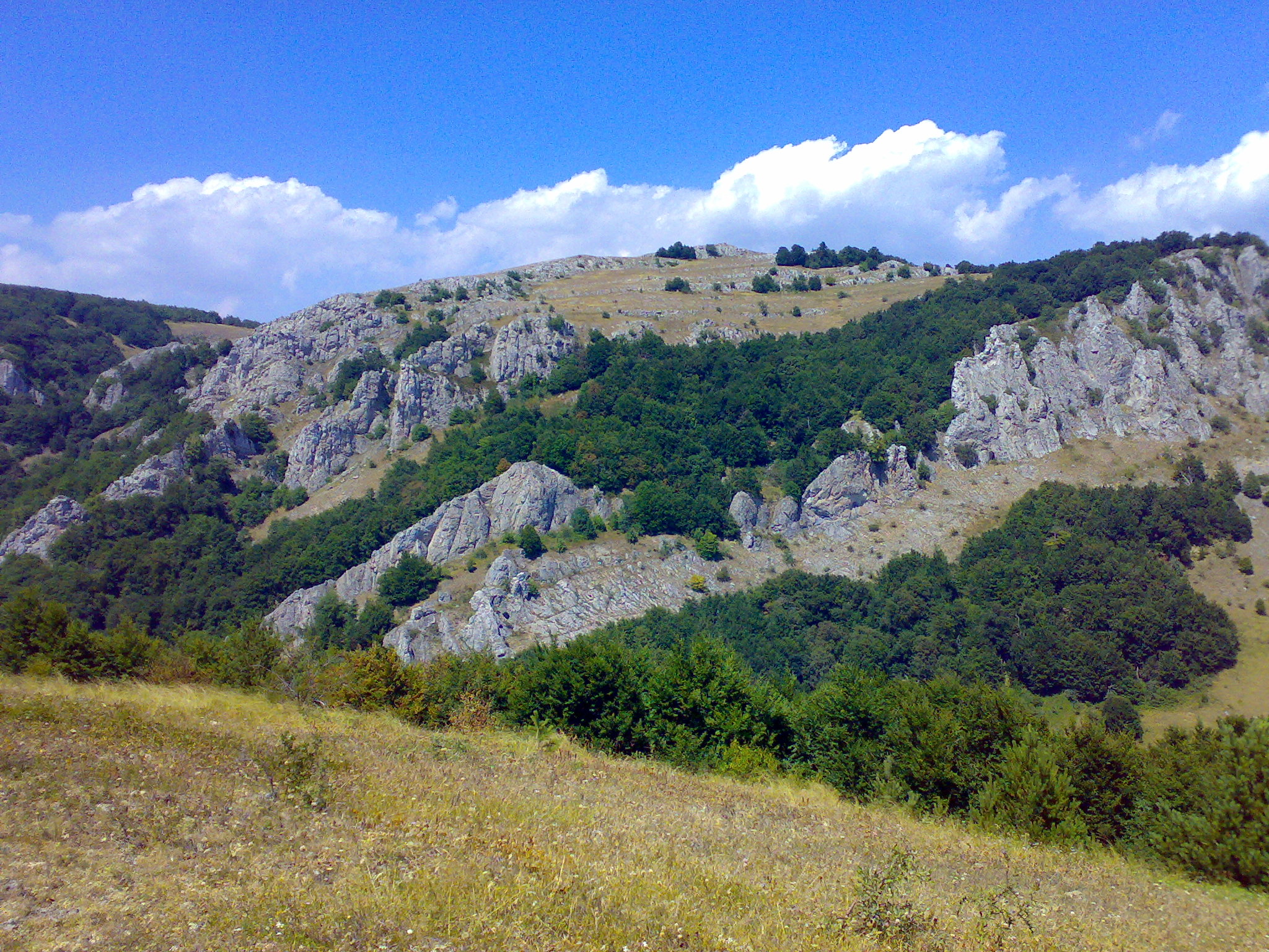 Конная прогулка